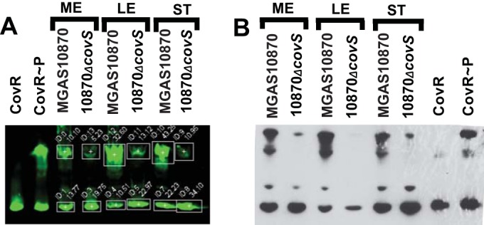 FIG 1