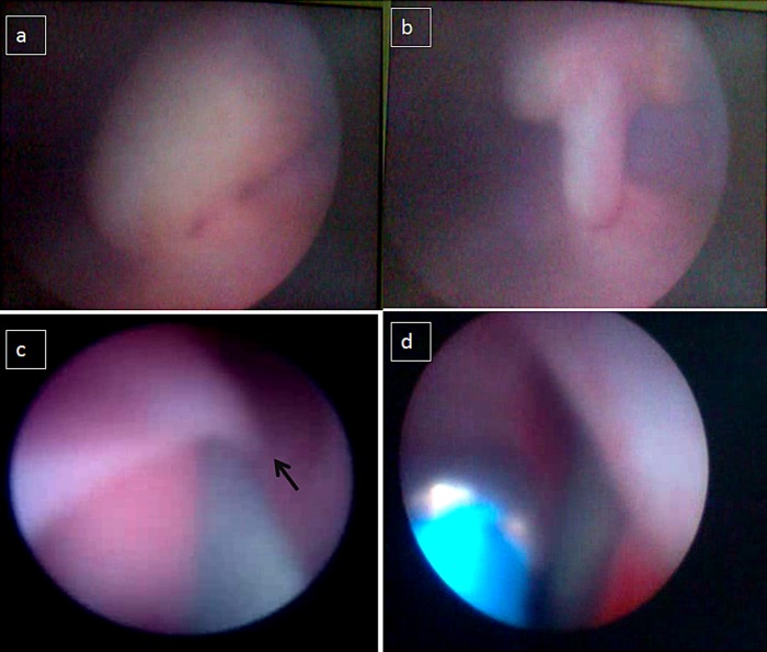 Figure 1