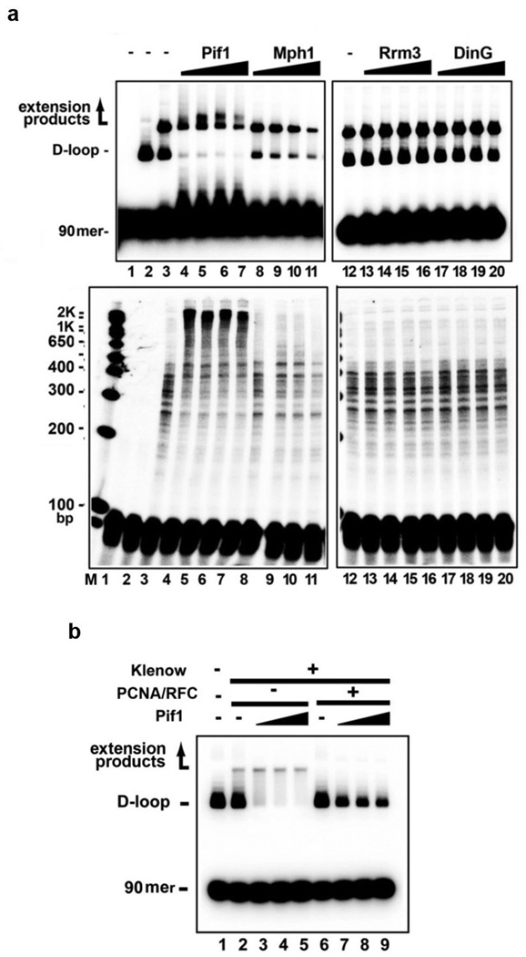 Extended Data Figure 7