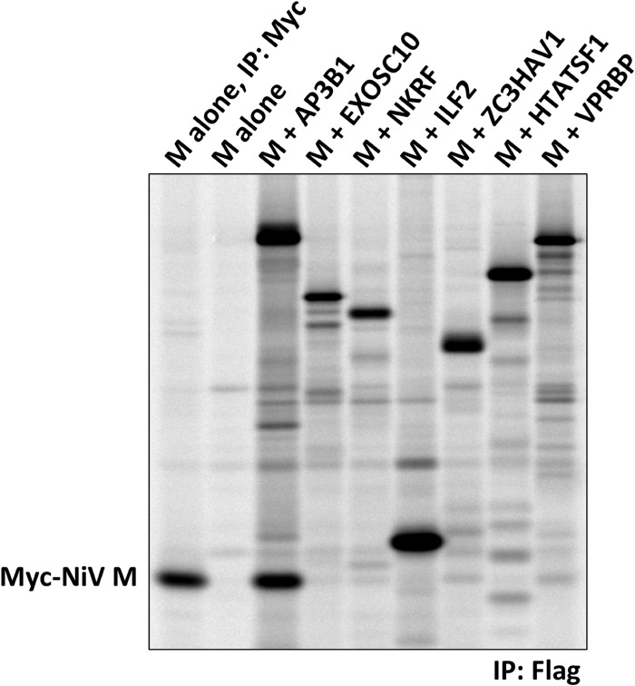 FIG 2