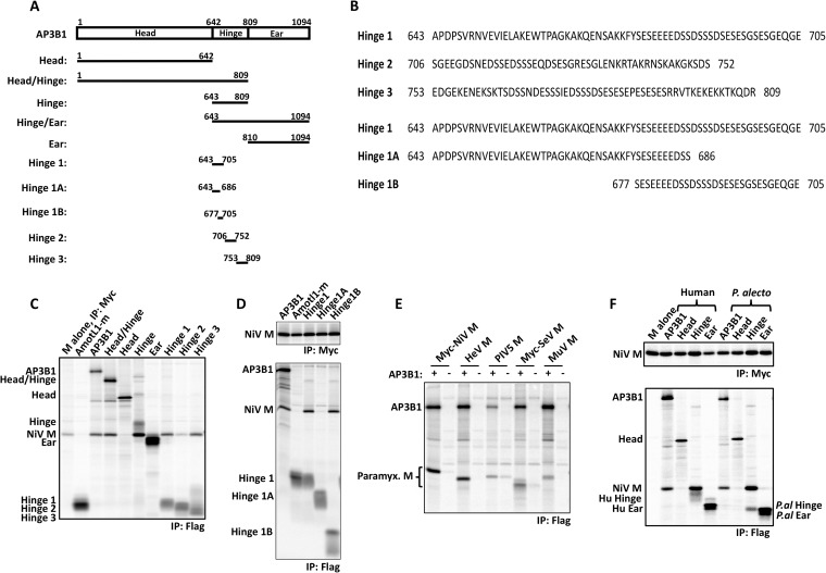 FIG 3