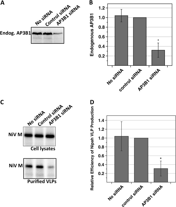 FIG 6