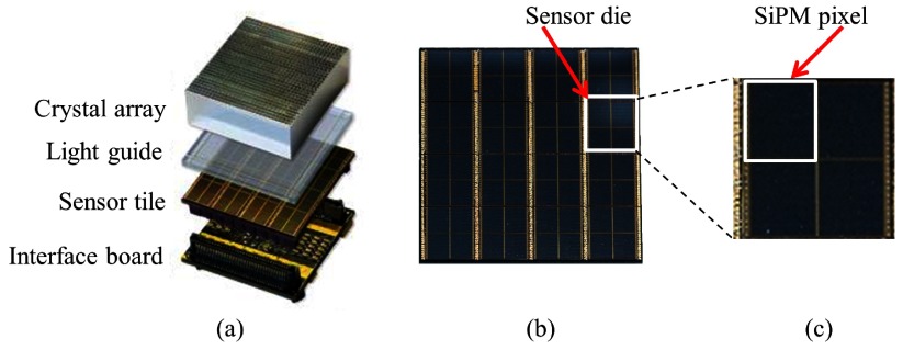 Figure 2.