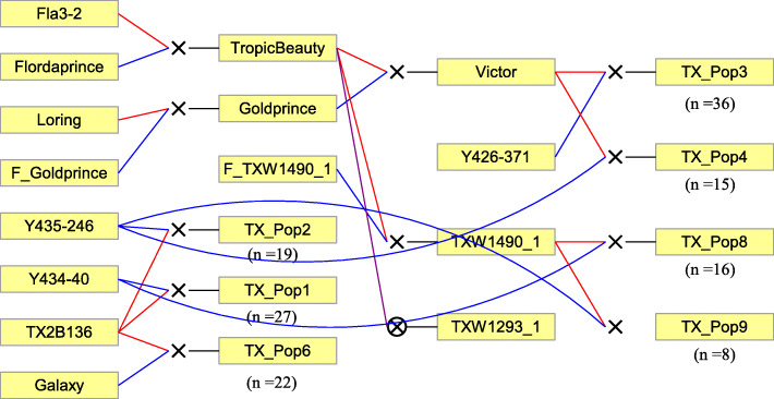 Fig. 4