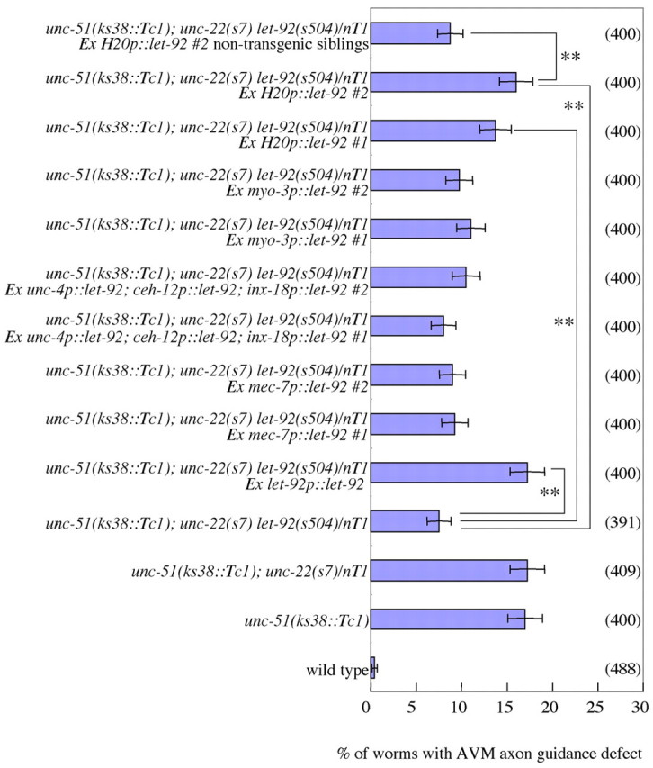 Fig. 8.