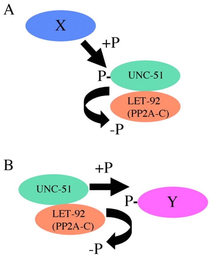 Fig. 11.