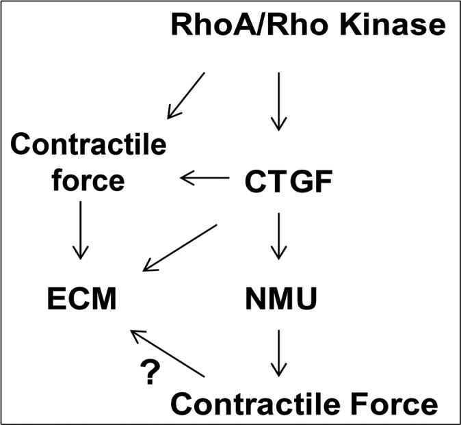 
Figure 9. 
