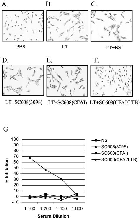 FIG. 5.