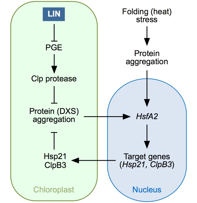 Fig 10