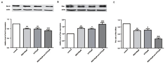 Fig. (5)