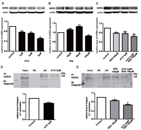 Fig. (4)