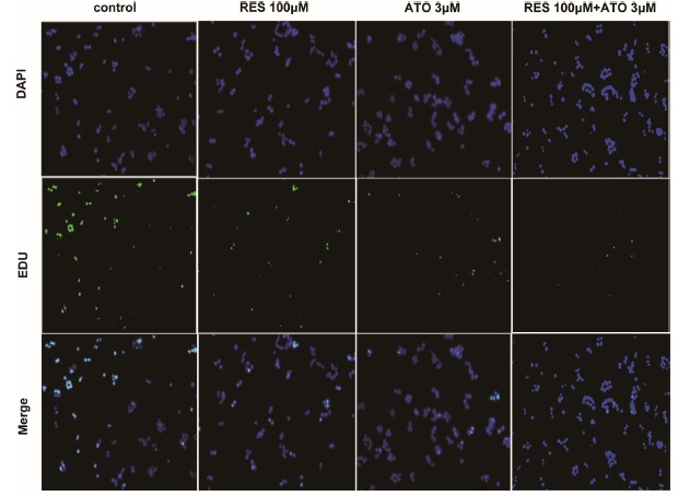 Fig. (2)