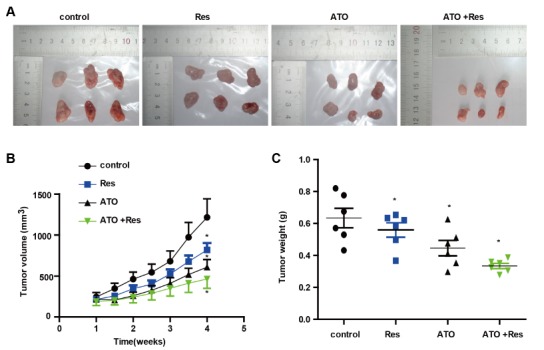 Fig. (6)