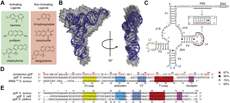 Figure 1