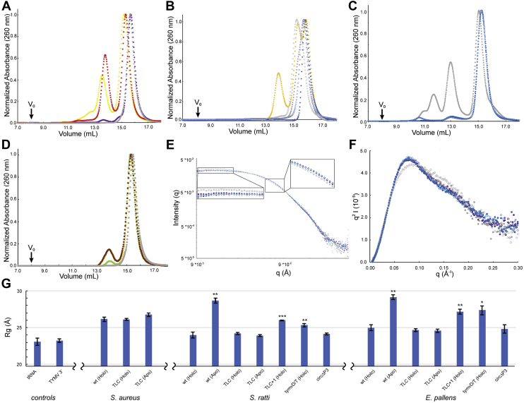 Figure 2