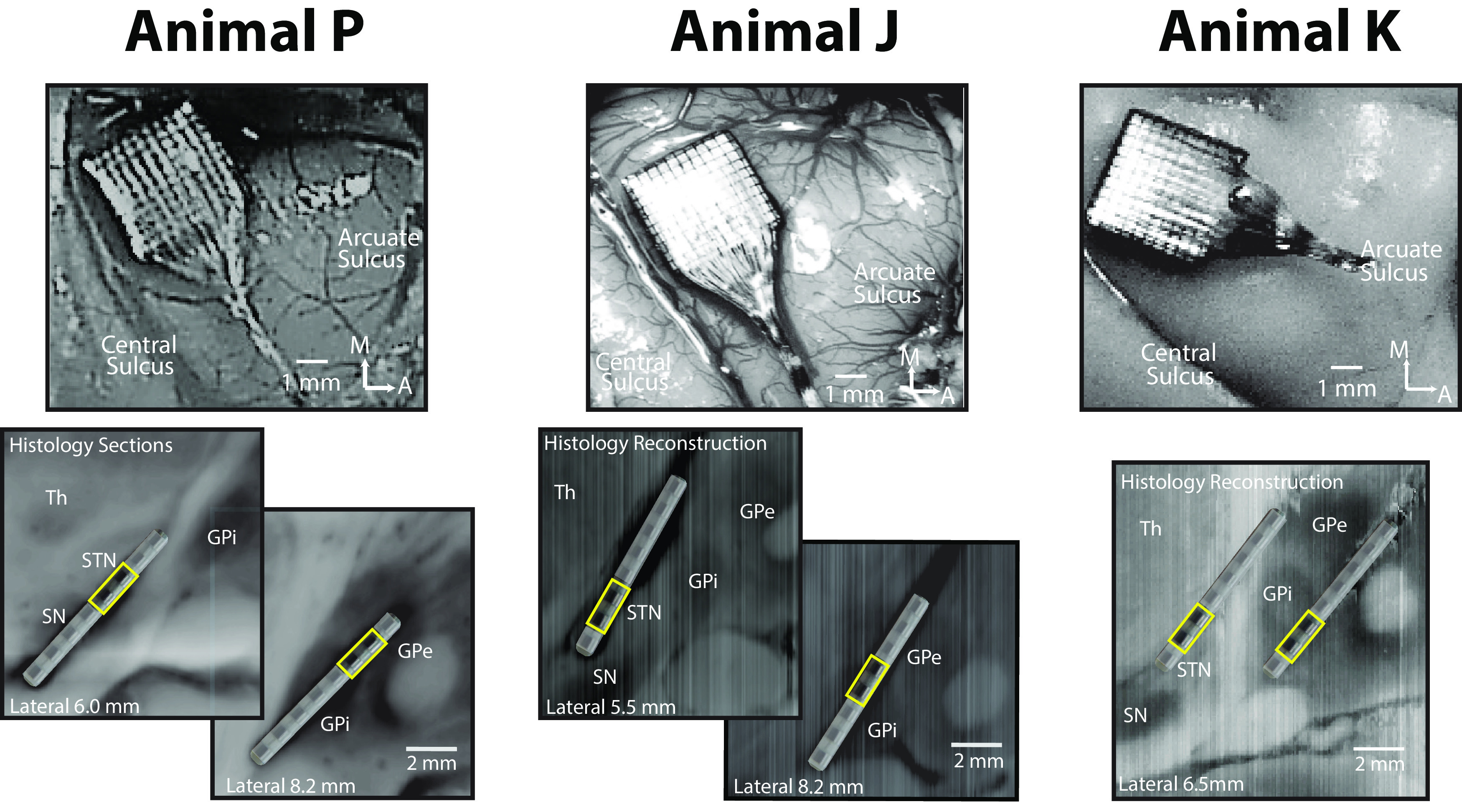 Figure 2.