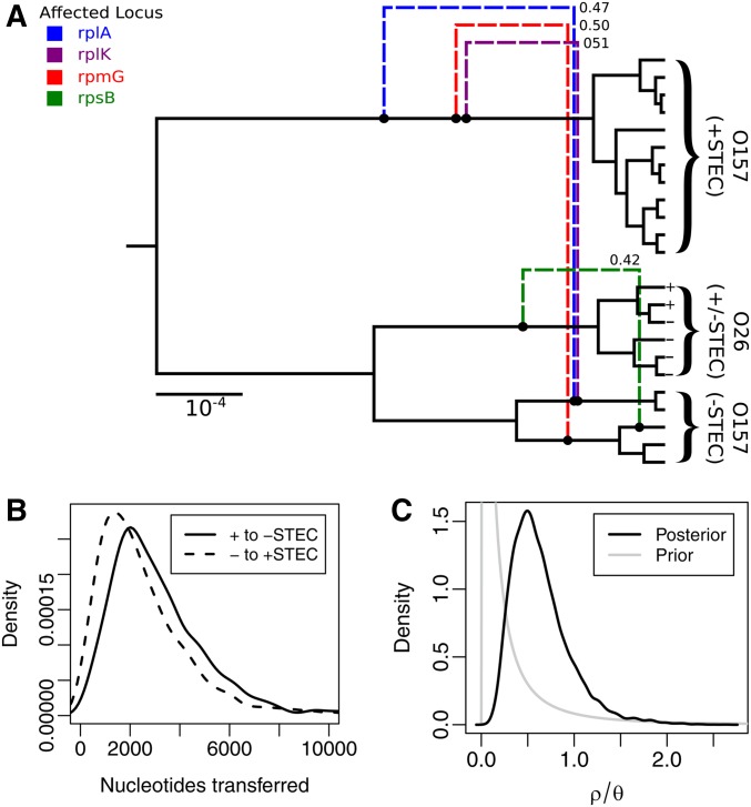 Figure 6 