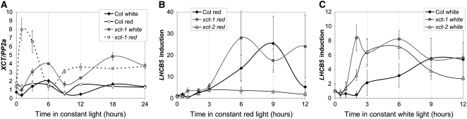 Figure 7.