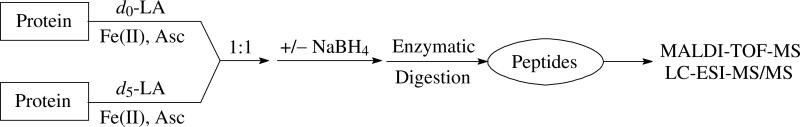 Scheme 3