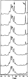 Figure 8.