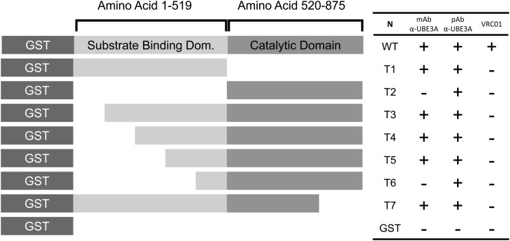 FIG 9