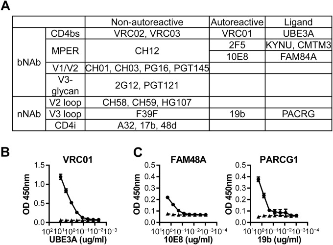 FIG 6