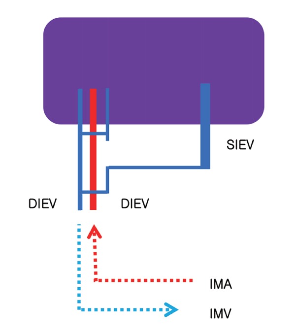 Figure 3)