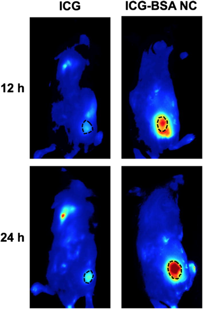 Fig. 7