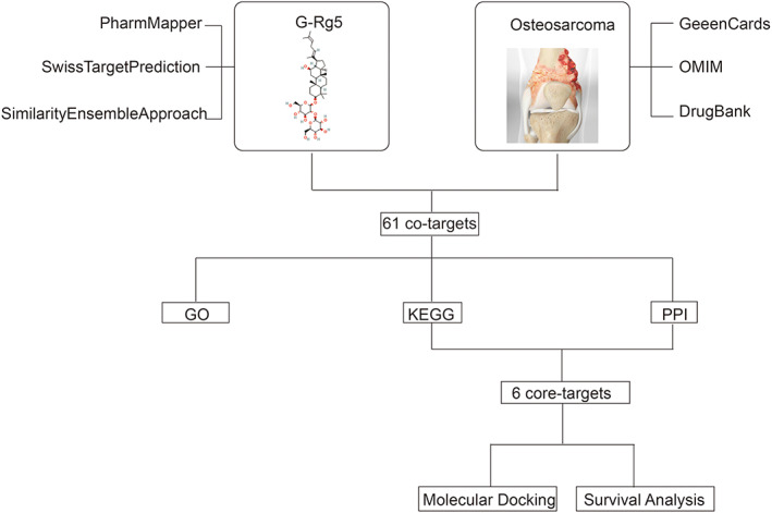 FIGURE 1