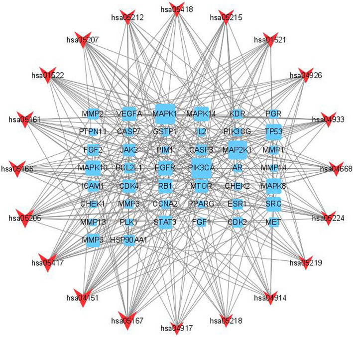 FIGURE 6