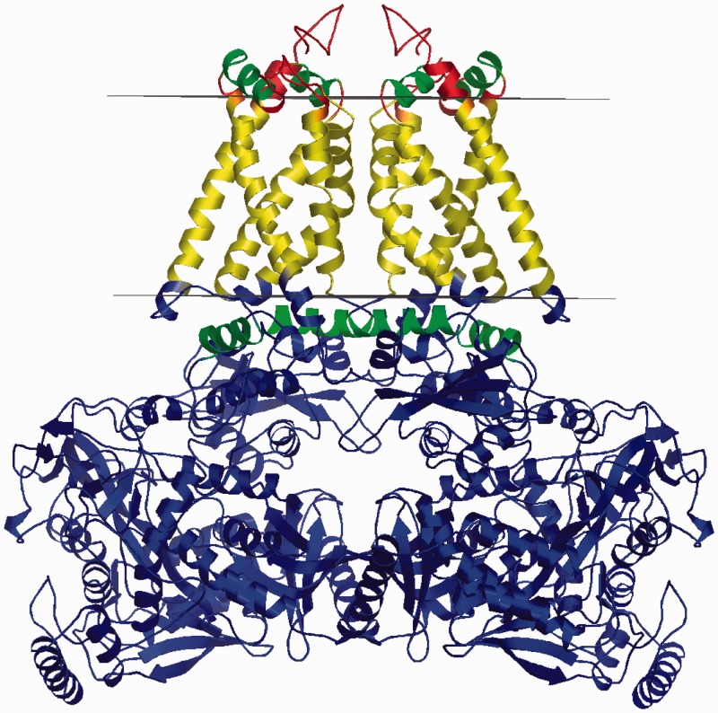 Figure 2.