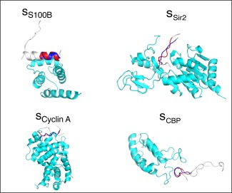 Figure 11