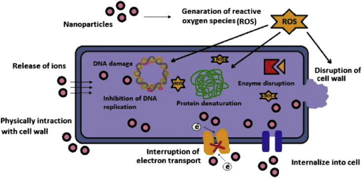 Figure 6