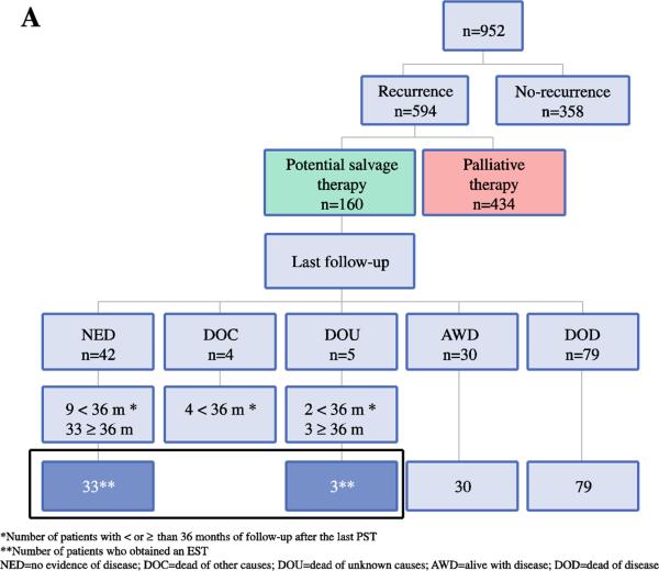 Figure 1A