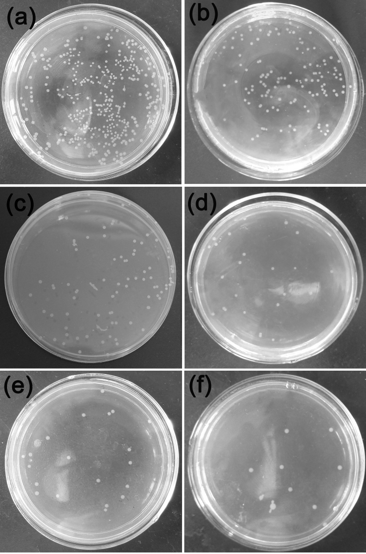 Fig. 11