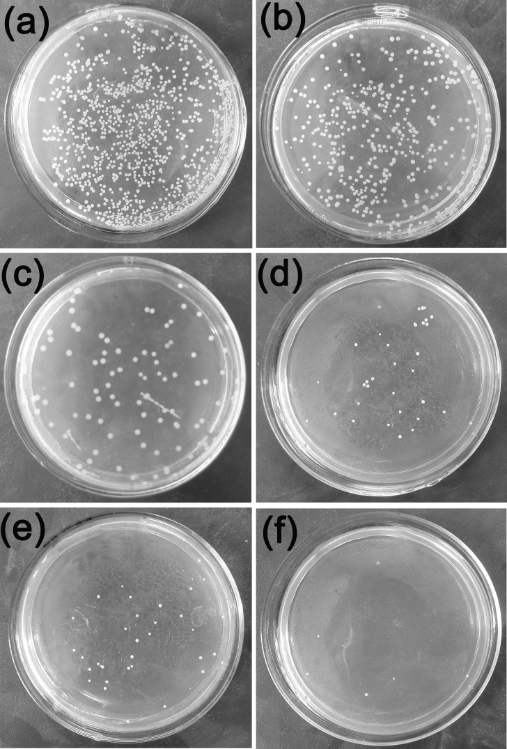 Fig. 10