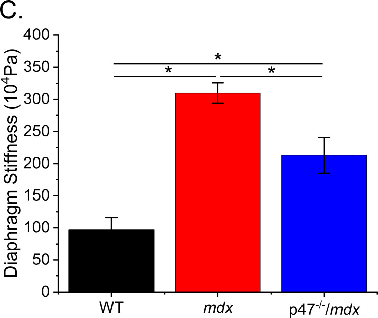 graphic file with name elife-84169-fig1.jpg