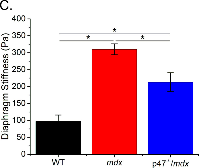 graphic file with name elife-84169-fig2.jpg