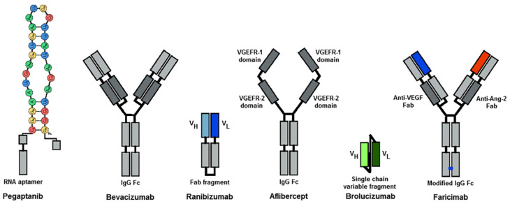 Figure 12