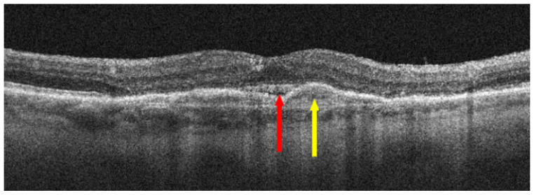 Figure 7