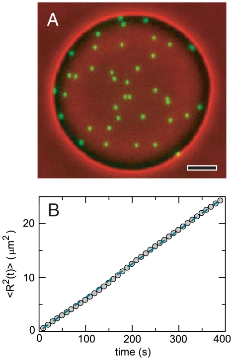 Fig. 2.