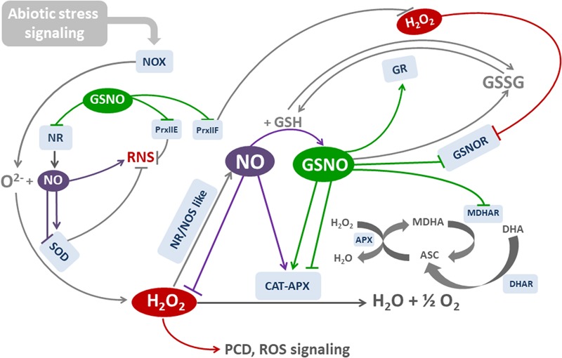 FIGURE 3