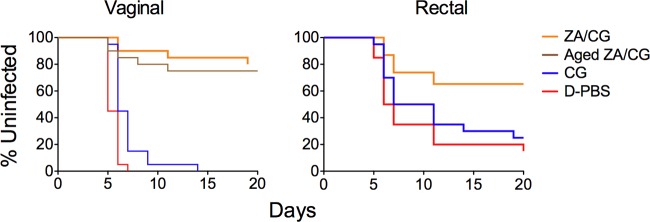 Fig 4