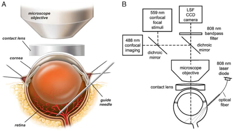 Fig. 2