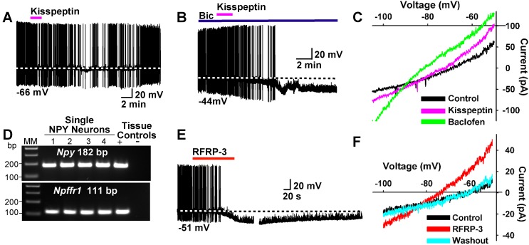 Figure 13.