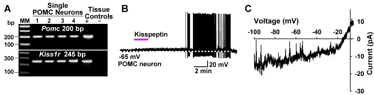 Figure 14.