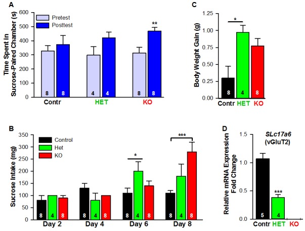 Figure 16.