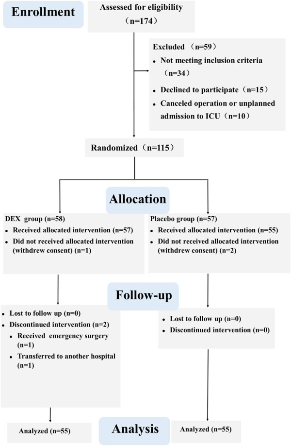 FIGURE1