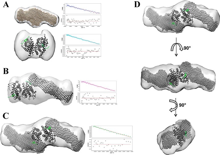 FIGURE 2.