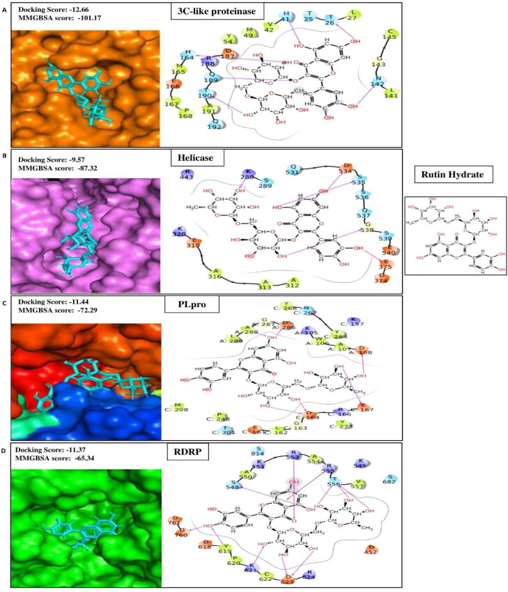 Figure 1A.